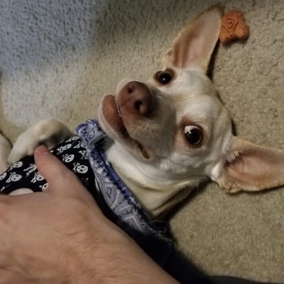 πΈ Welcome to my Boutique πΈ - Picture 15 of 16